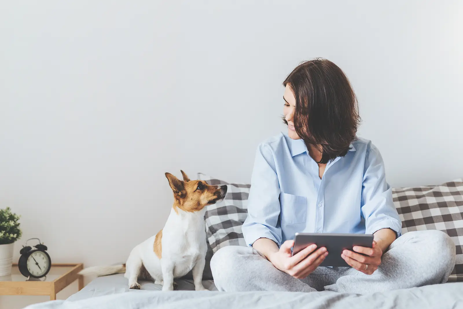 The Do's and Don'ts of Running a Pet-Friendly Rental Property in Portland, Oregon