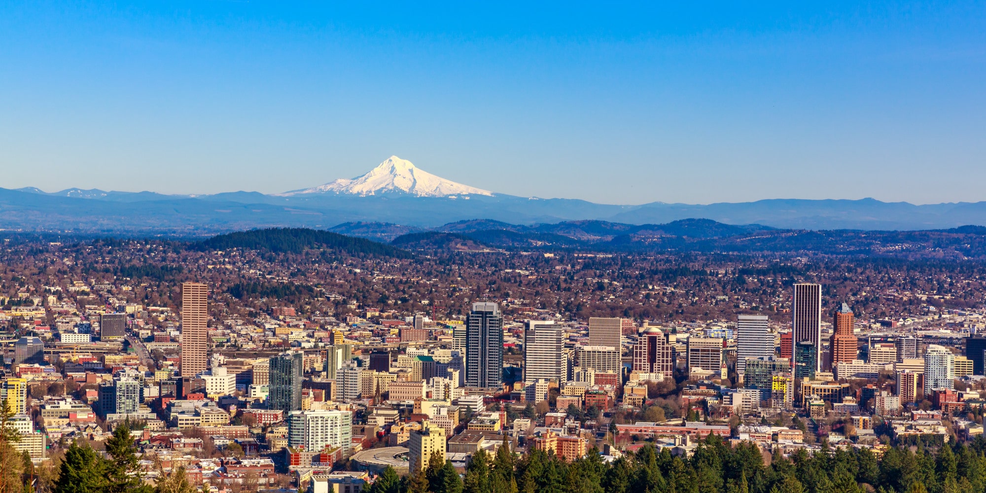 Why Should You Hire Property Management in Portland?
