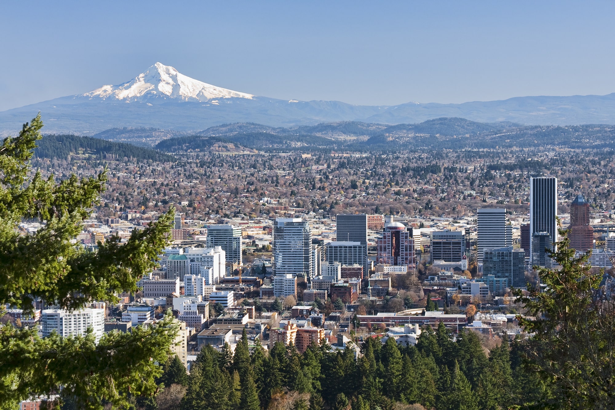 Why You Should Invest in Portland Real Estate